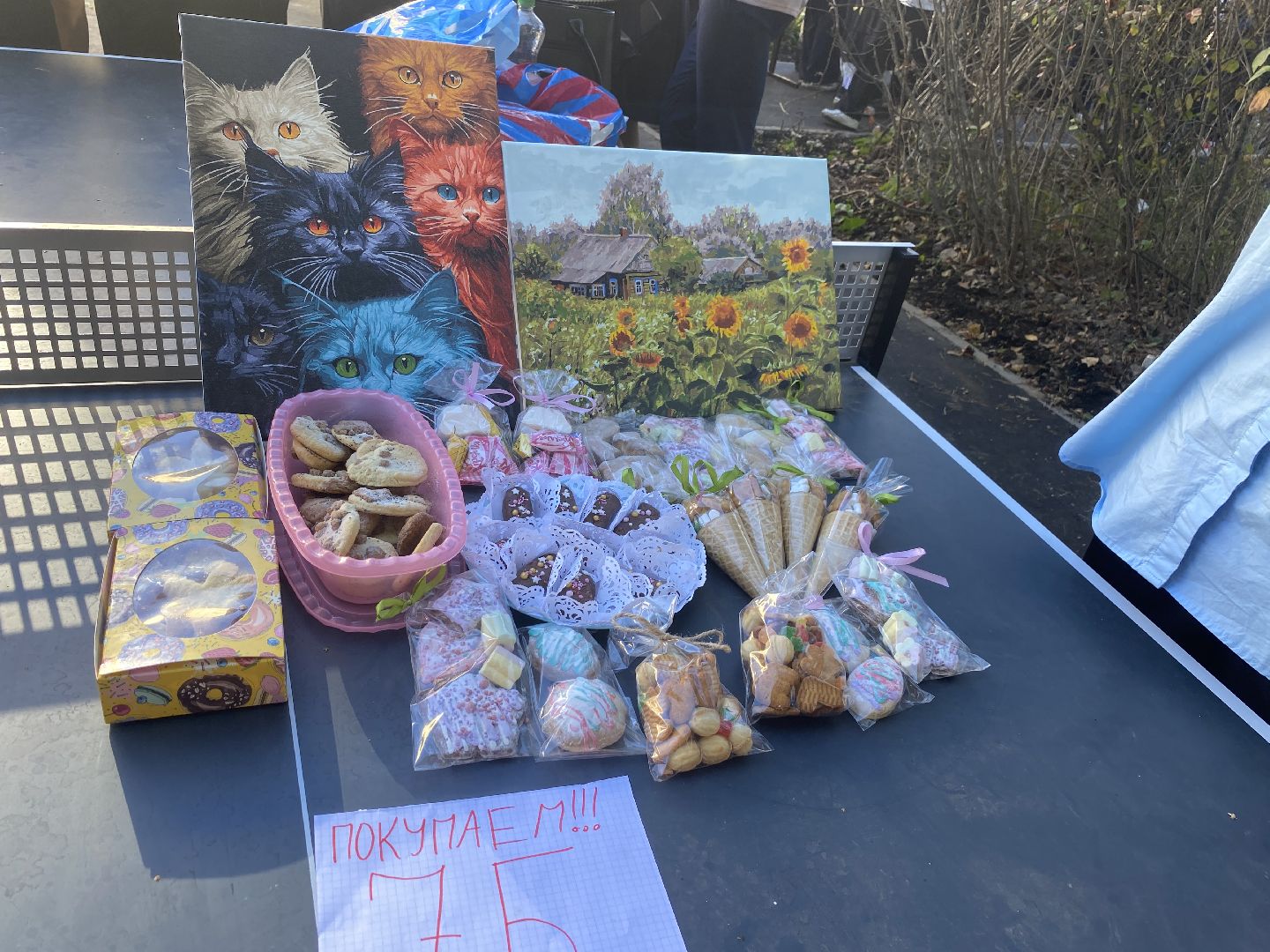 благотворительная ярмарка, Власиха ярмарка в Поповке, варварушки власихи, доброволец рвсн, помощь бойцам сво,