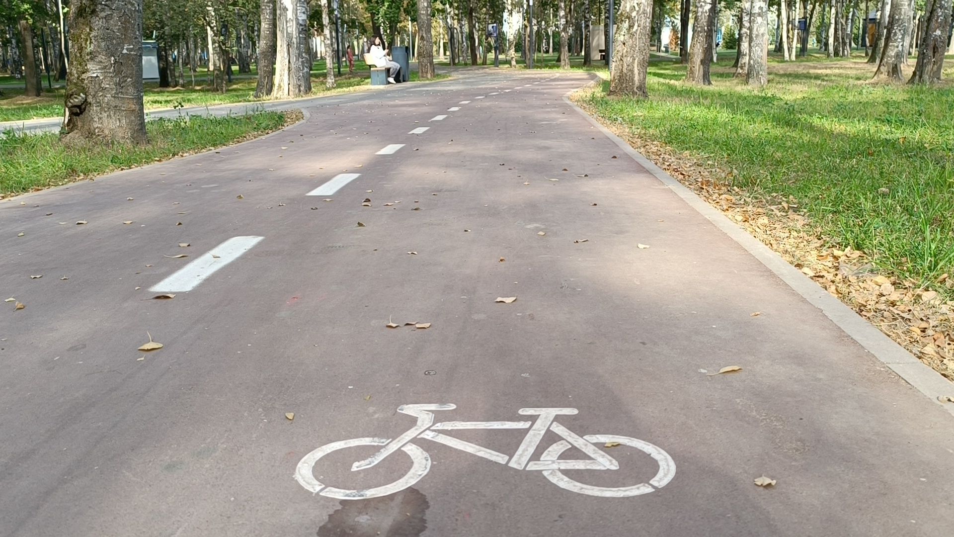 кафе, лобня, парк,