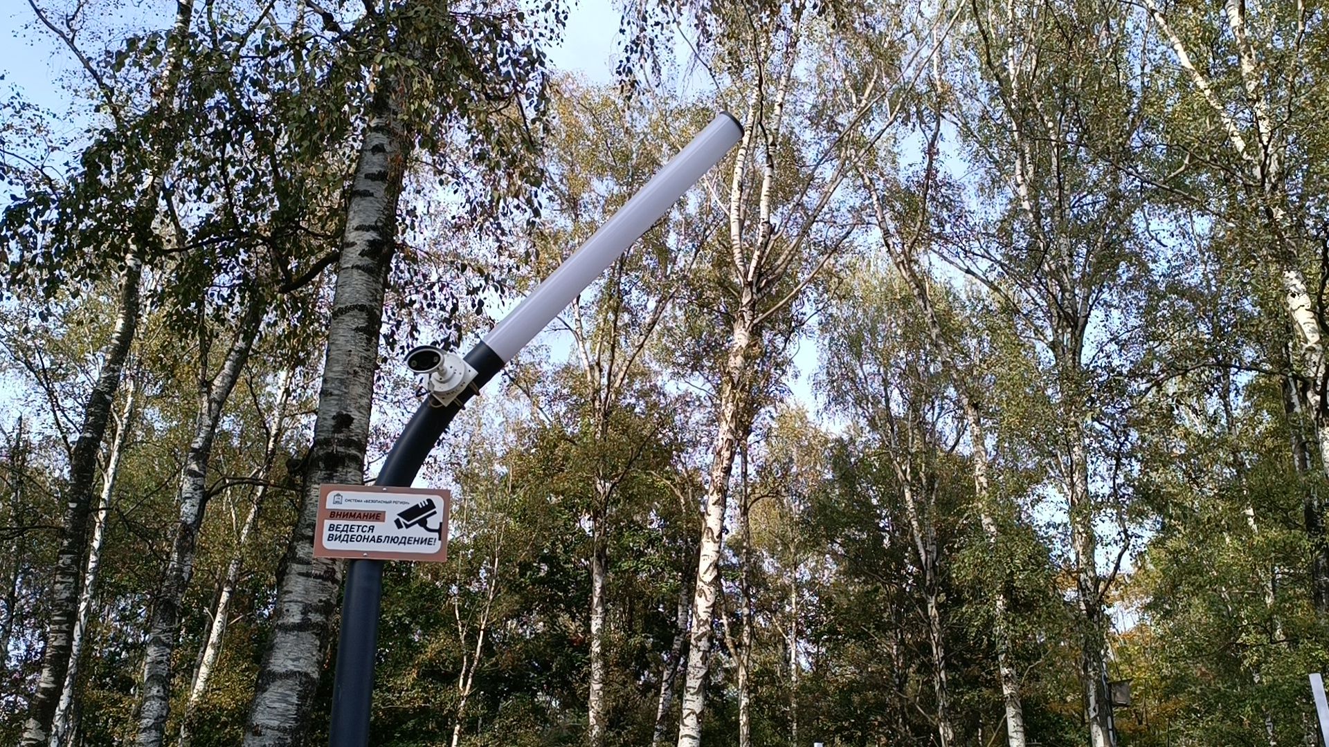 кафе, лобня, парк,