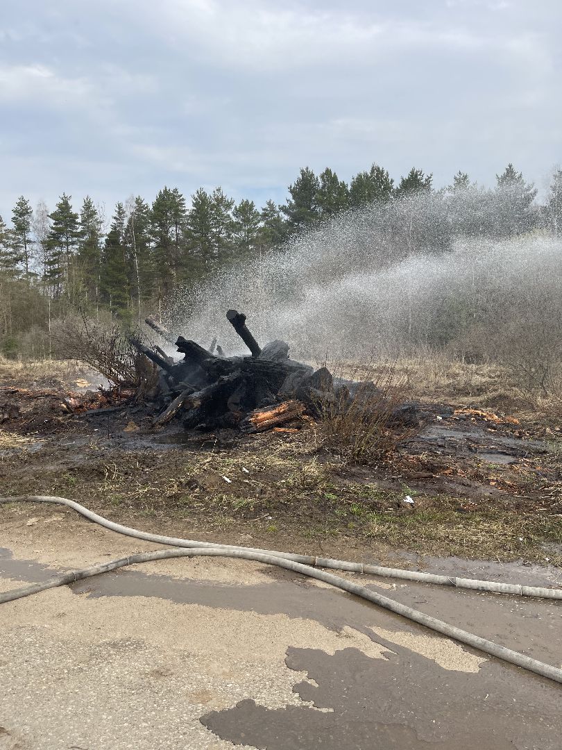 Одинцово, Лесхоз, Пал травы, Пожар, Экология