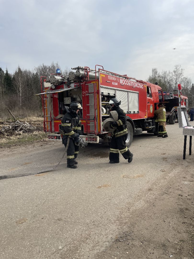 Одинцово, Лесхоз, Пал травы, Пожар, Экология