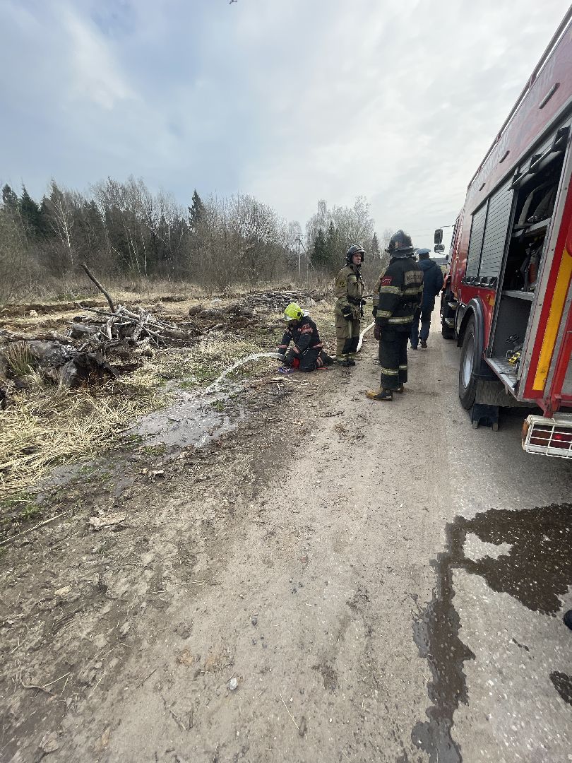 Одинцово, Лесхоз, Пал травы, Пожар, Экология