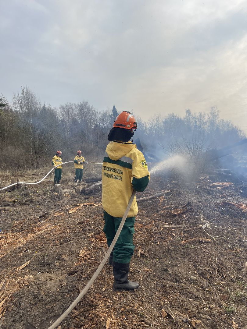 Одинцово, Лесхоз, Пал травы, Пожар, Экология