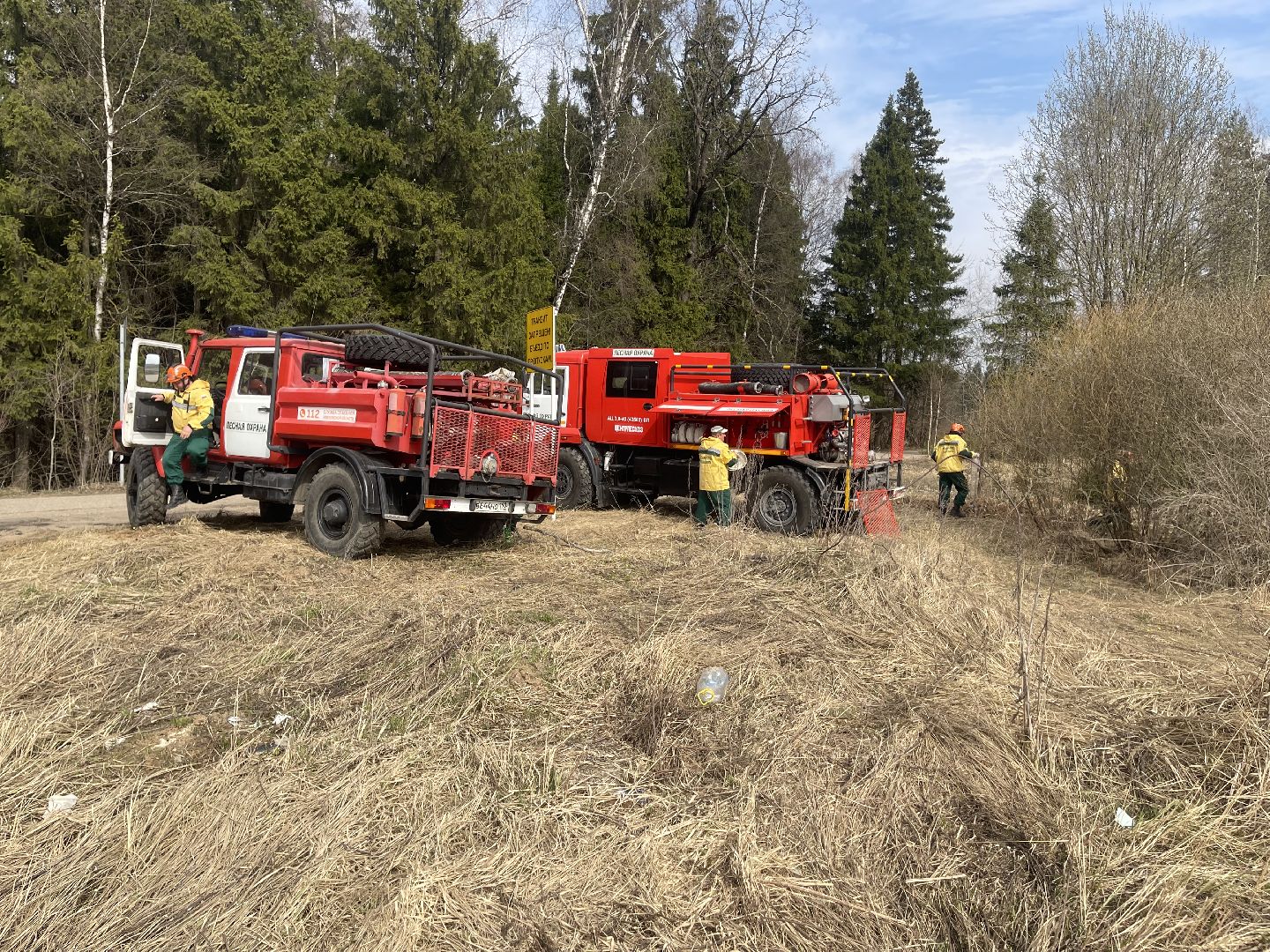 Одинцово, Лесхоз, Пал травы, Пожар, Экология