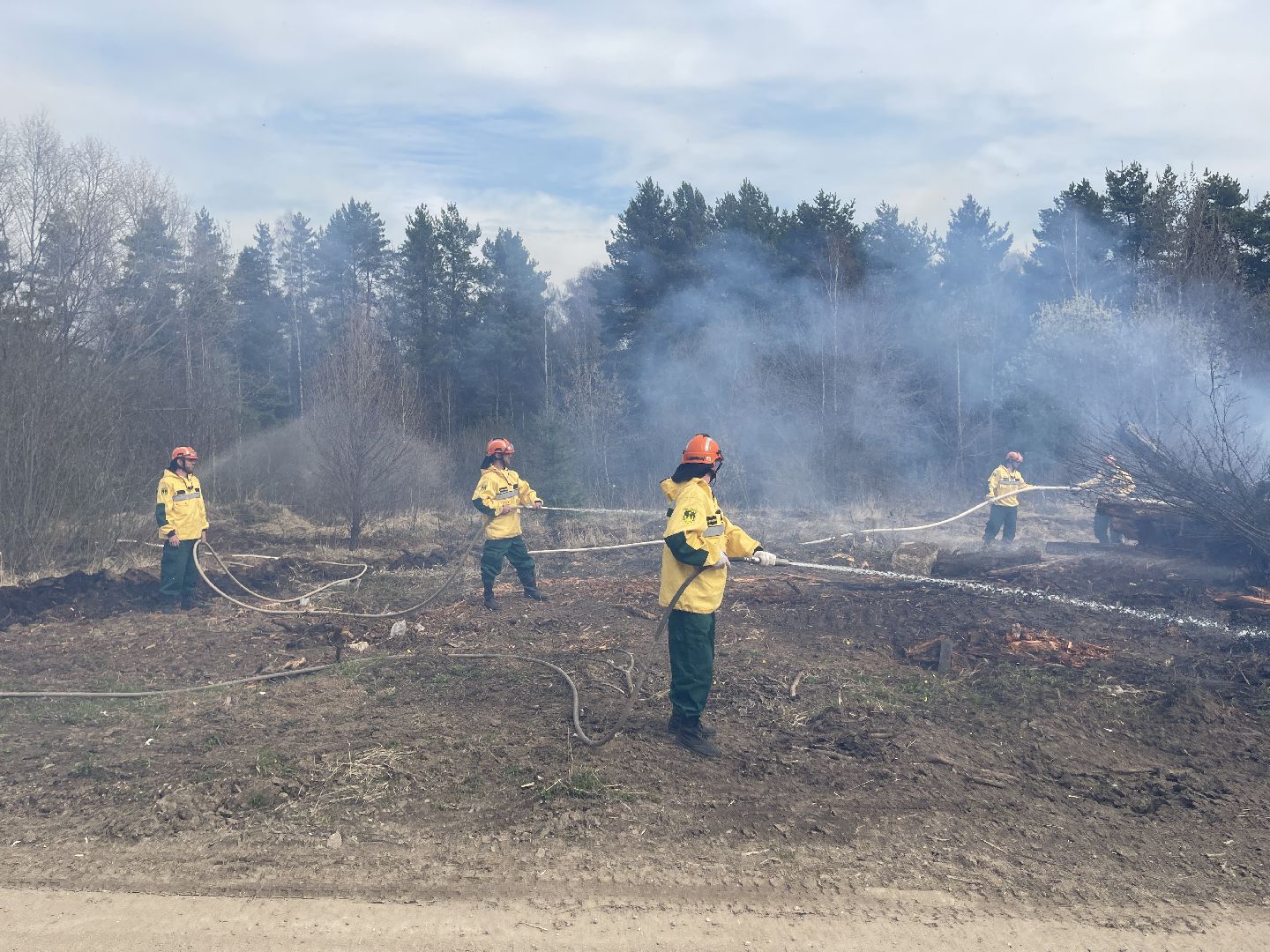 Одинцово, Лесхоз, Пал травы, Пожар, Экология