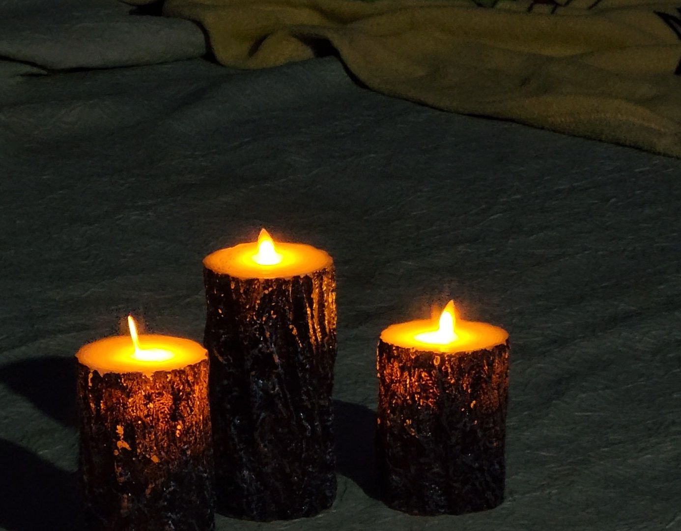 Дубна, Университет Дубна, Квартирник, Посвящение в студенты,