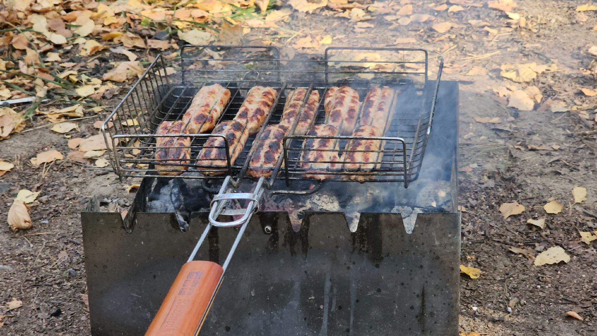 противопожарная безопасность, особый противопожарный режим, государственная лесная инспекция, подольское лесничество, рейд,