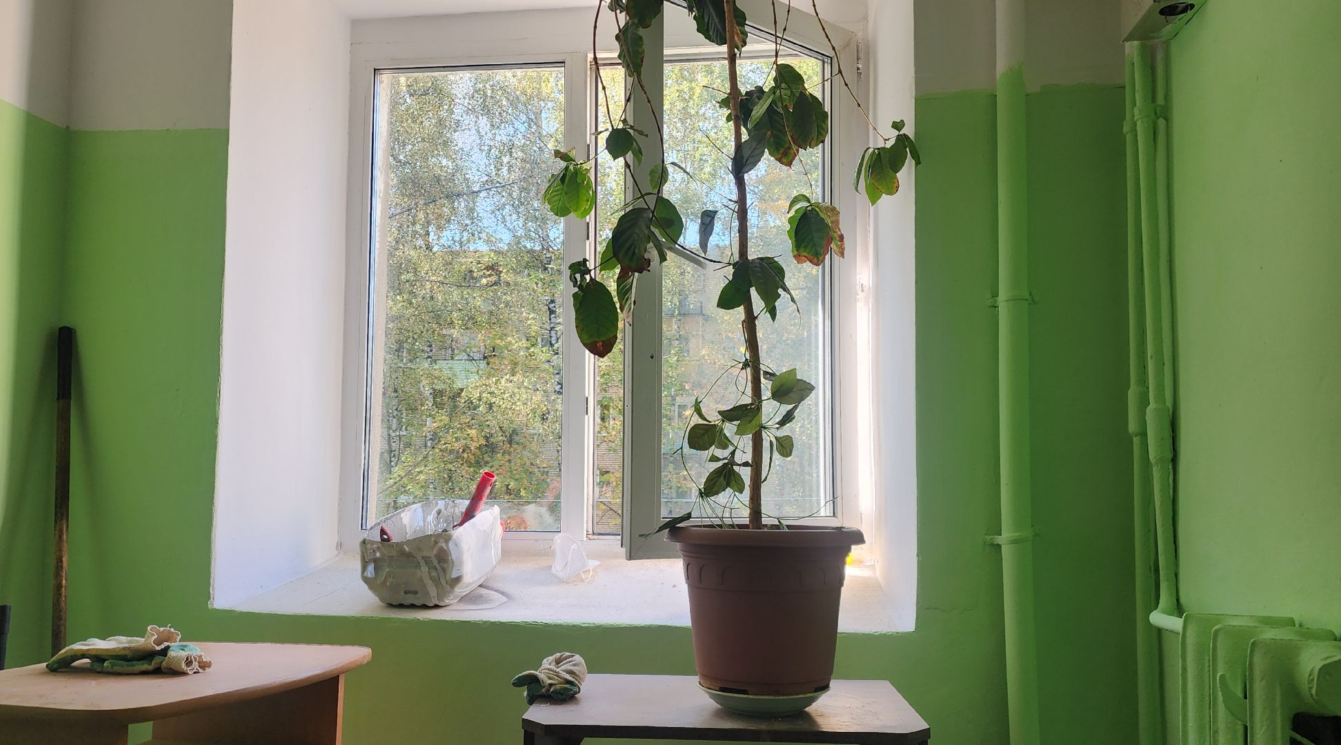 Звенигород, ЖКХ, ремонт подьездов, Благоустройство,