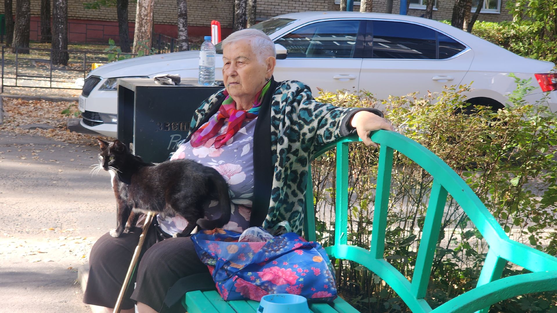 Звенигород, ЖКХ, ремонт подьездов, Благоустройство,