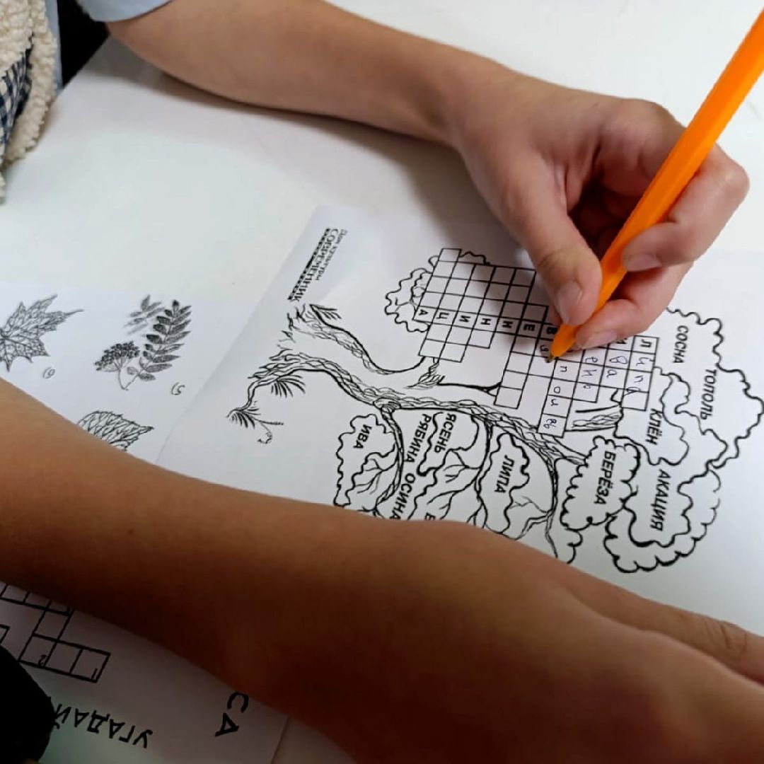 пушкинский, экологическая акция, экология, концерт, лес, лесовосстановление,