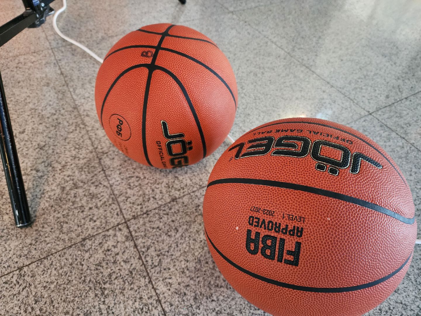 химки, баскетбол, спорт,