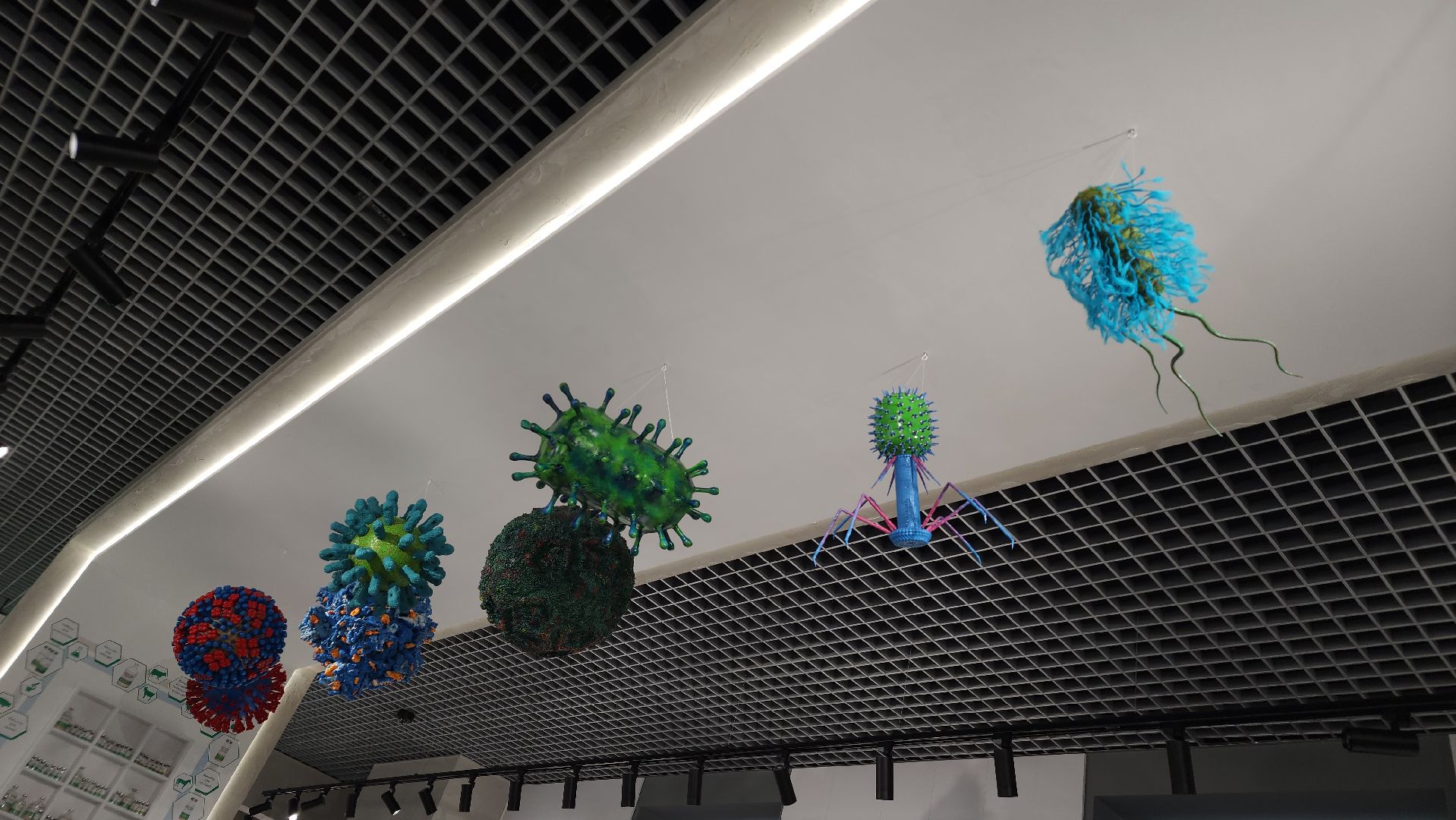 музей, музейно-образовательный комплекс, корпоративный музей, Щелковский биокомбинат, Лосино-Петровский,