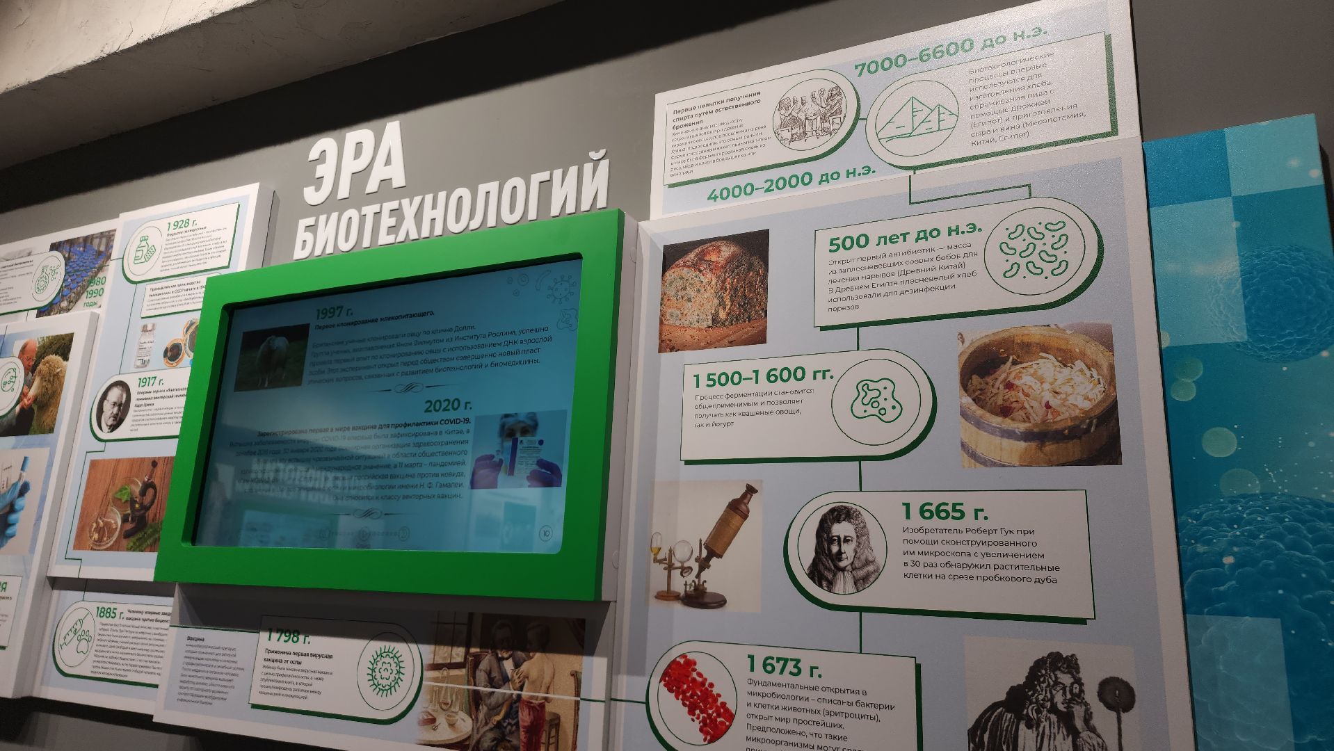 музей, музейно-образовательный комплекс, корпоративный музей, Щелковский биокомбинат, Лосино-Петровский,