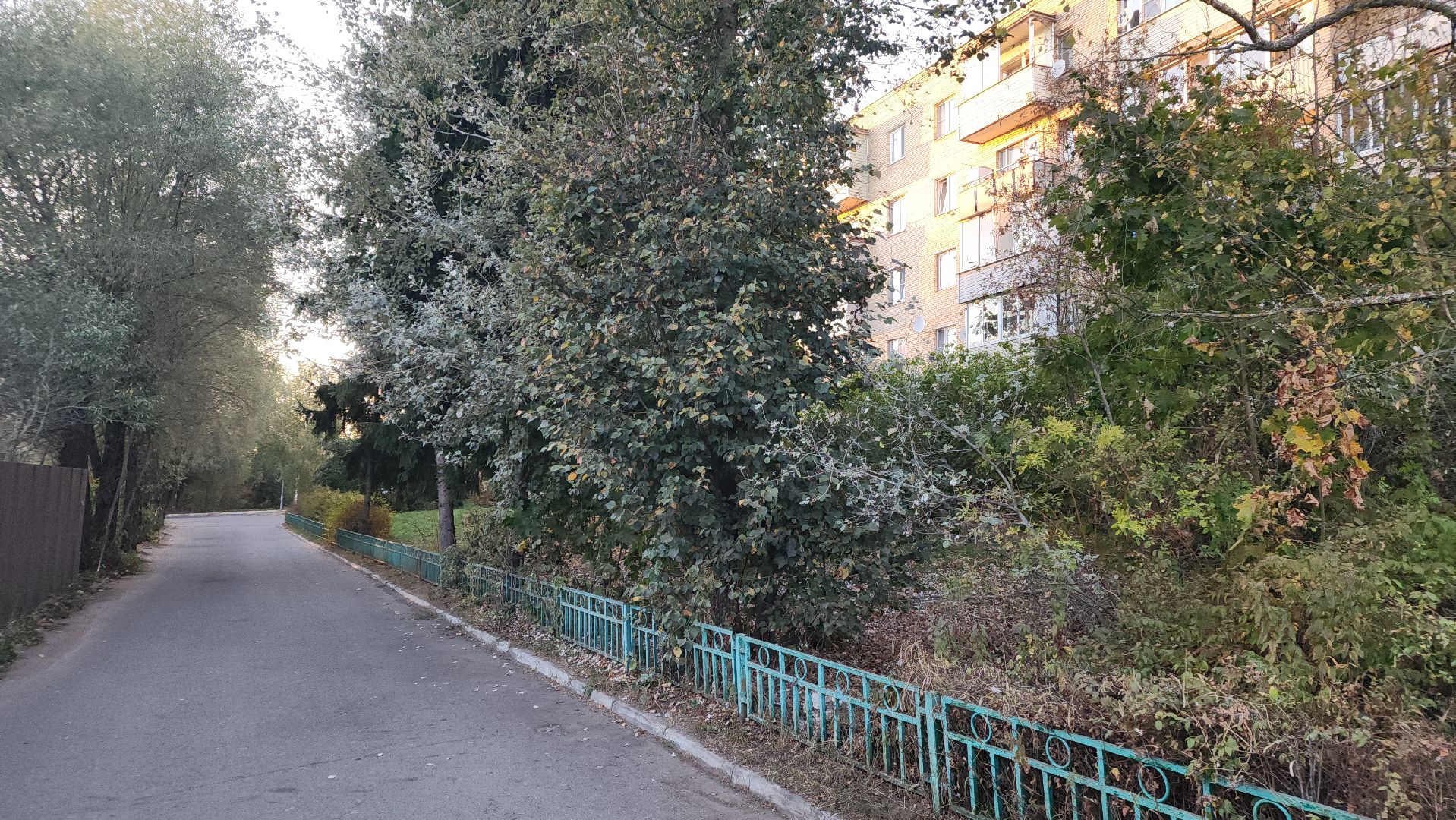 ступино, выездная администрация, медицина, медицина подмосковья,