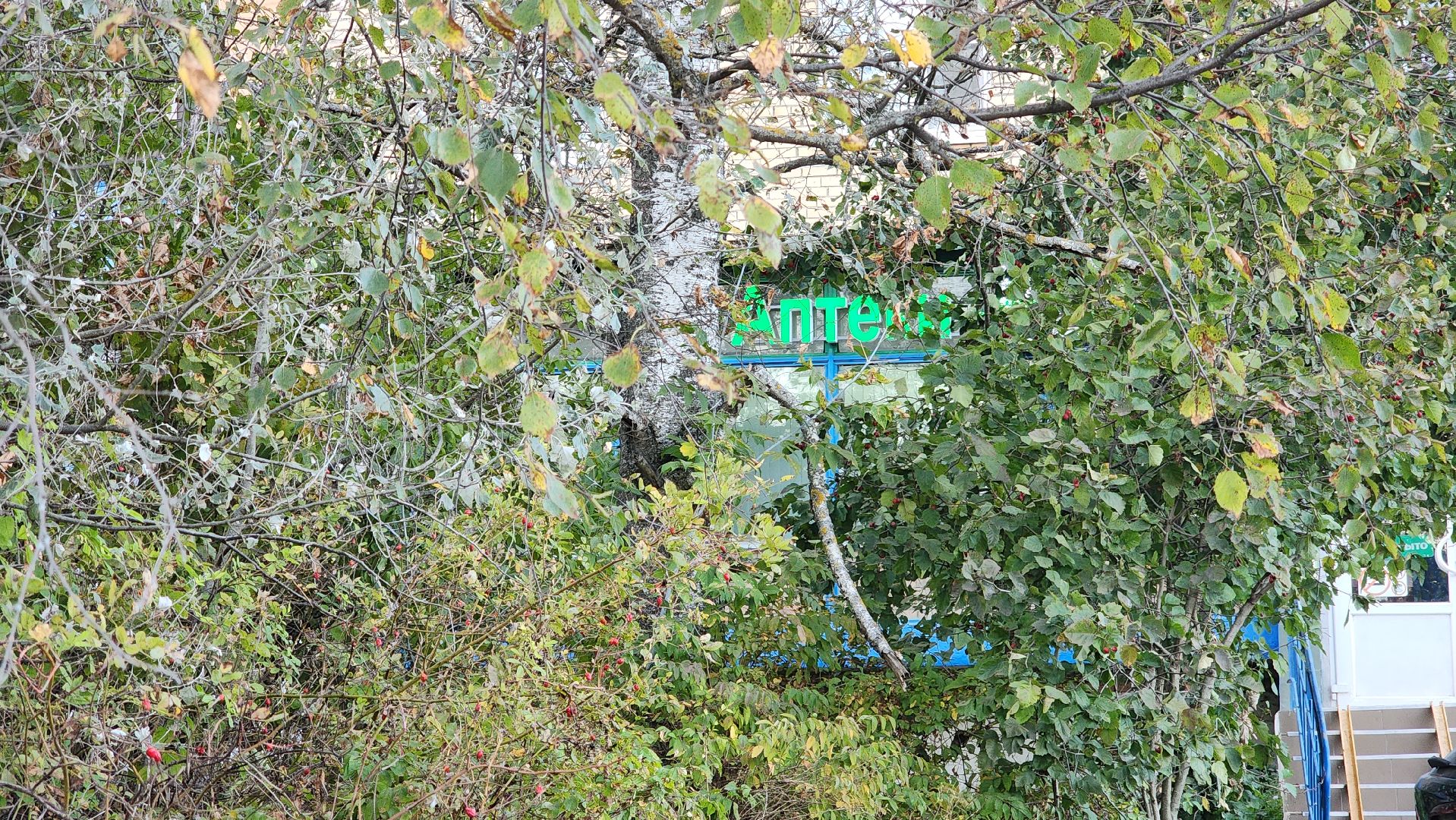 ступино, выездная администрация, медицина, медицина подмосковья,