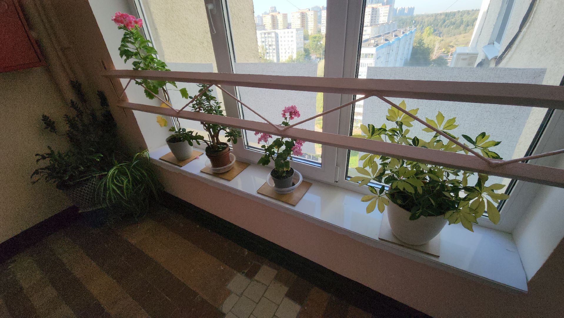 красногорск, жкх, мой подъезд,