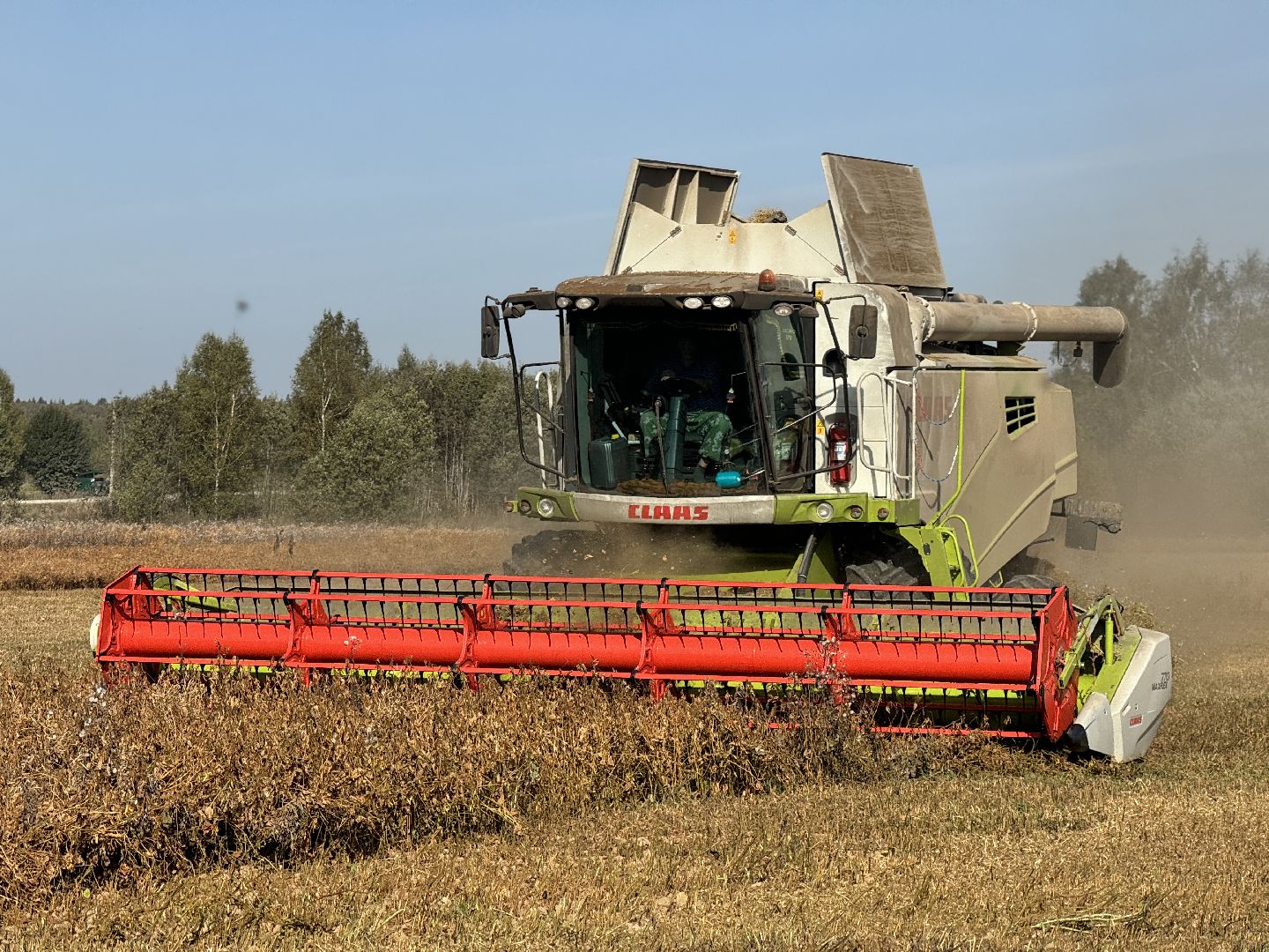 шаховская, уборка урожая, соя, рапс,