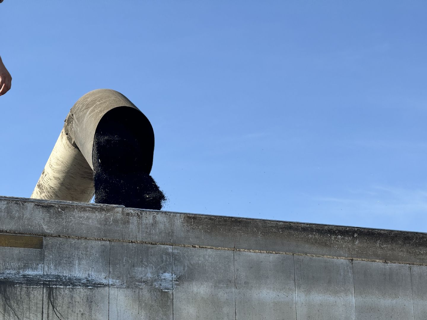 шаховская, уборка урожая, соя, рапс,