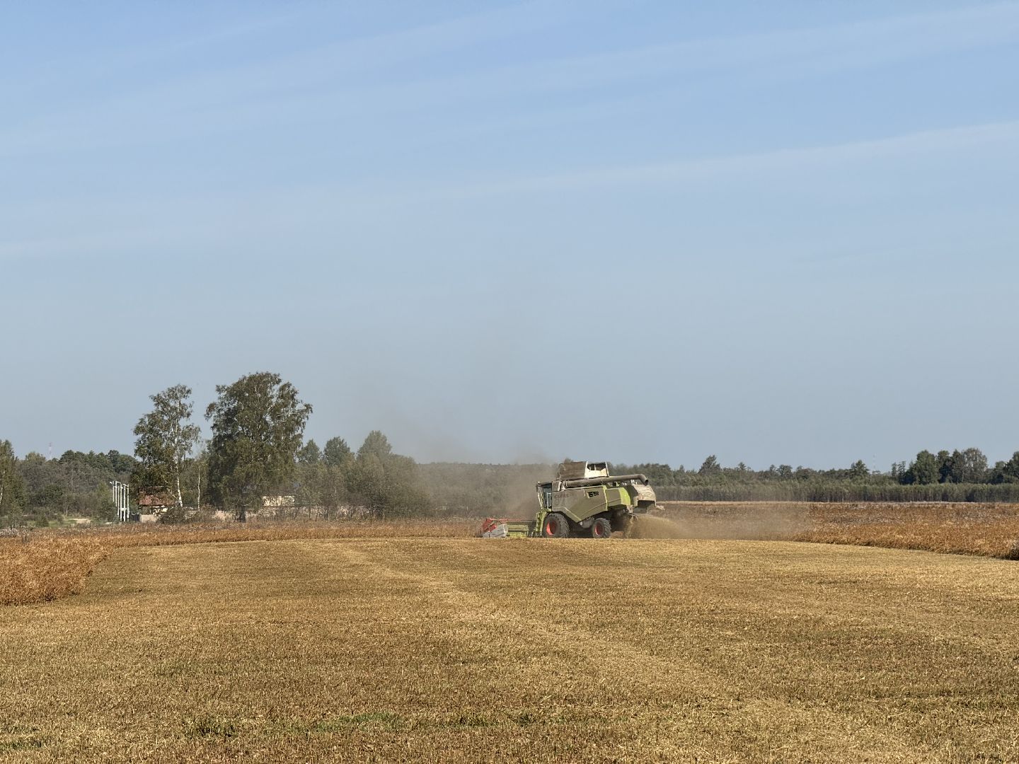 шаховская, уборка урожая, соя, рапс,