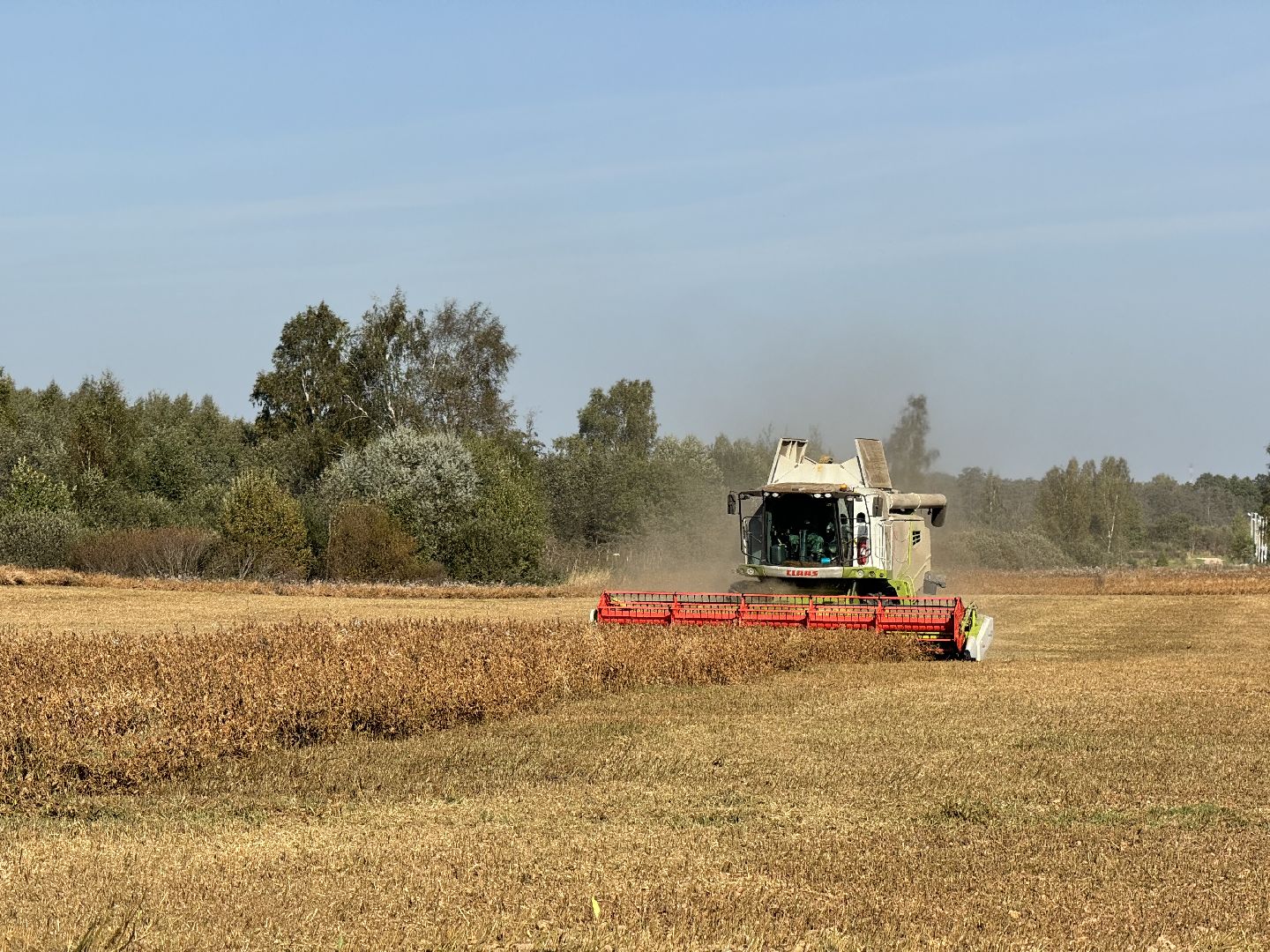 шаховская, уборка урожая, соя, рапс,