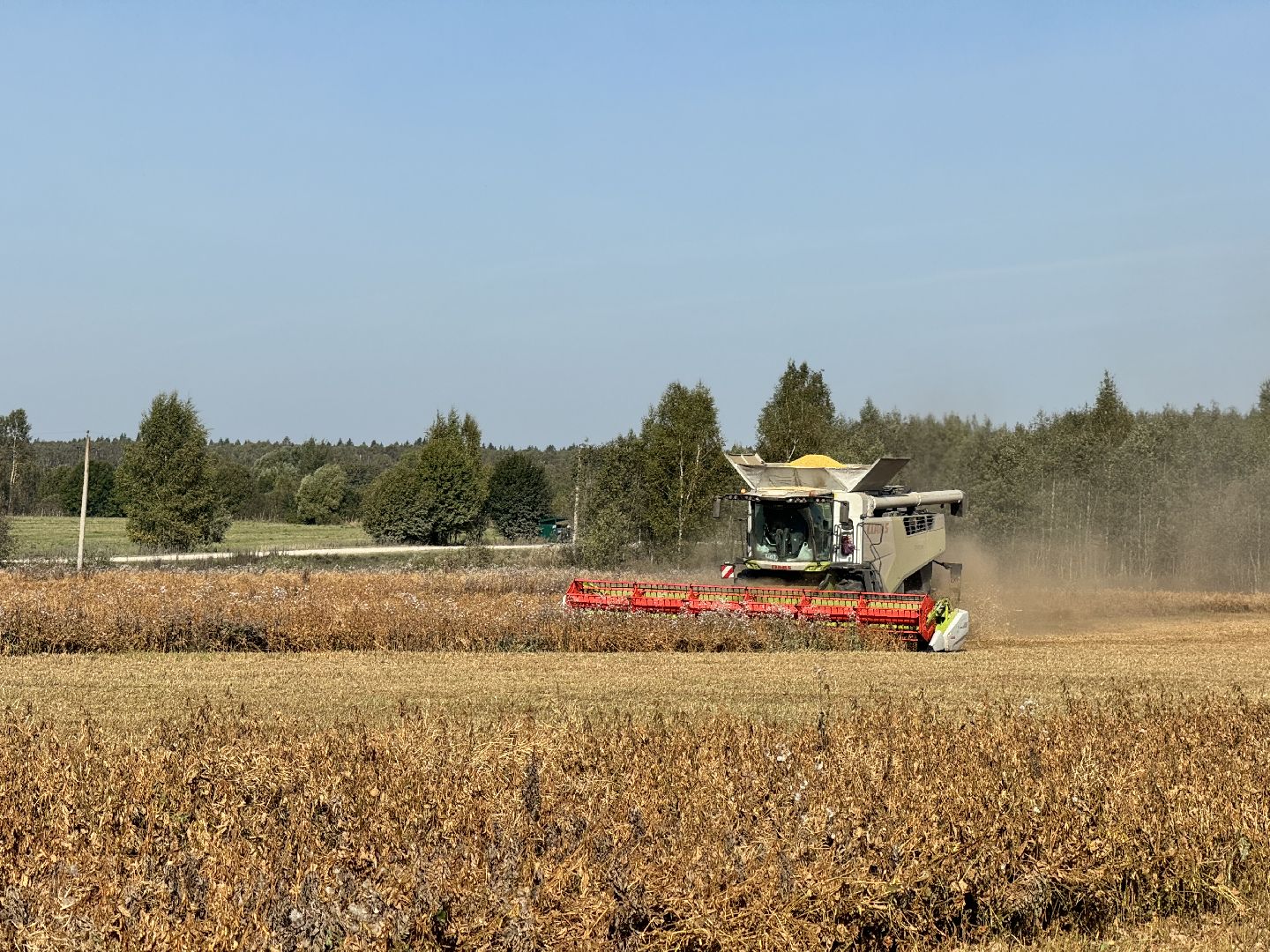 шаховская, уборка урожая, соя, рапс,