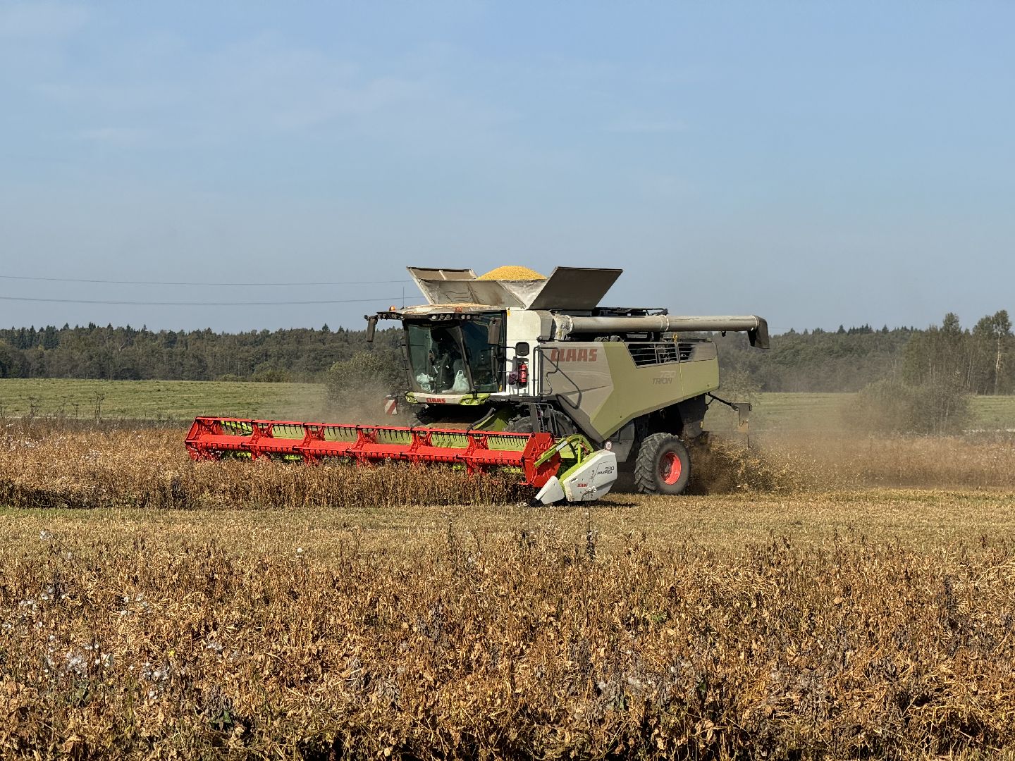 шаховская, уборка урожая, соя, рапс,