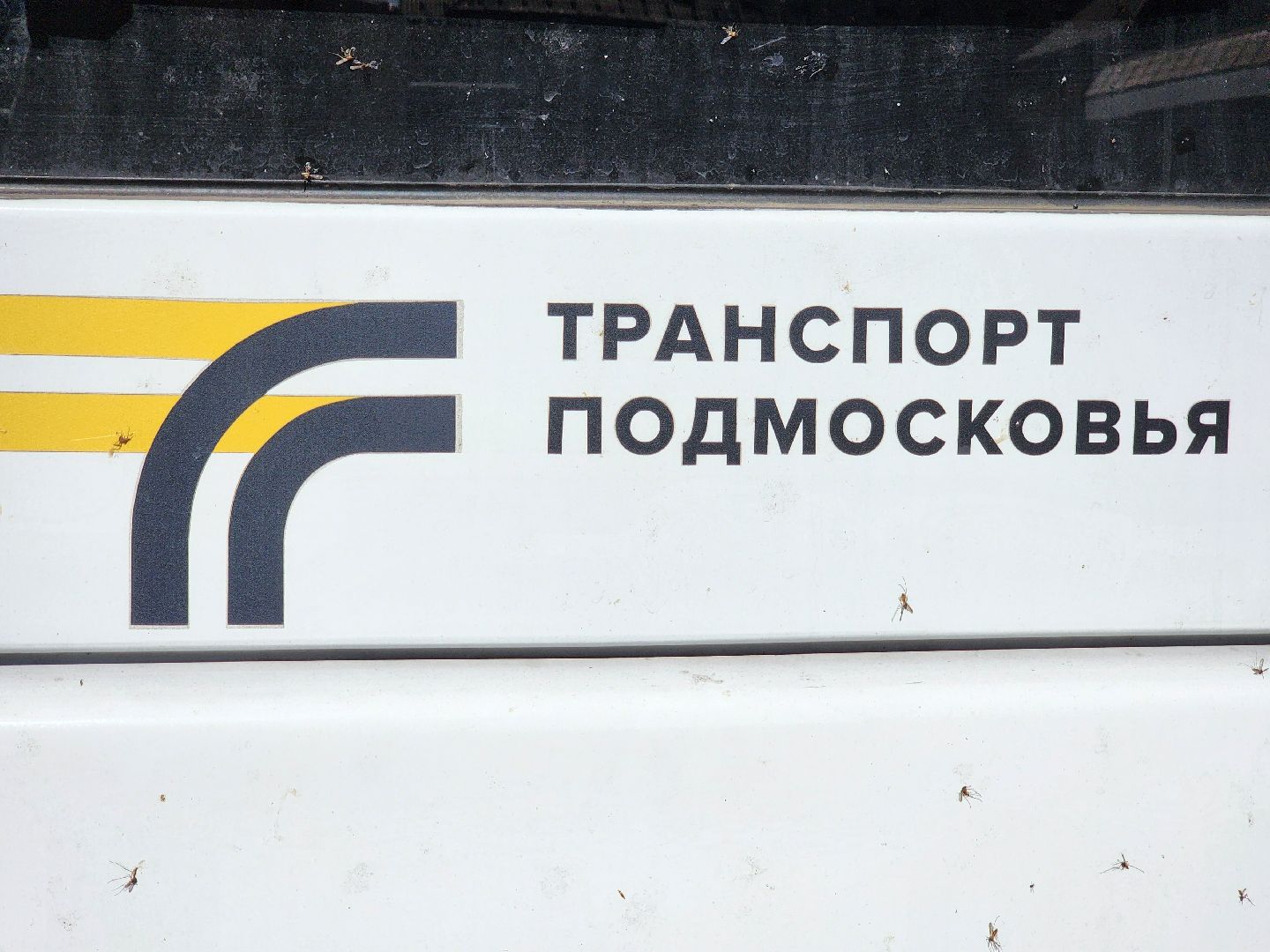 воскресенск, транспорт, мцд,