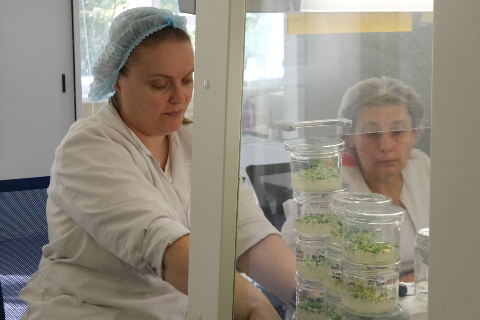 пущино, серпухов, сельское хозяйство, наука, производство, стартап,