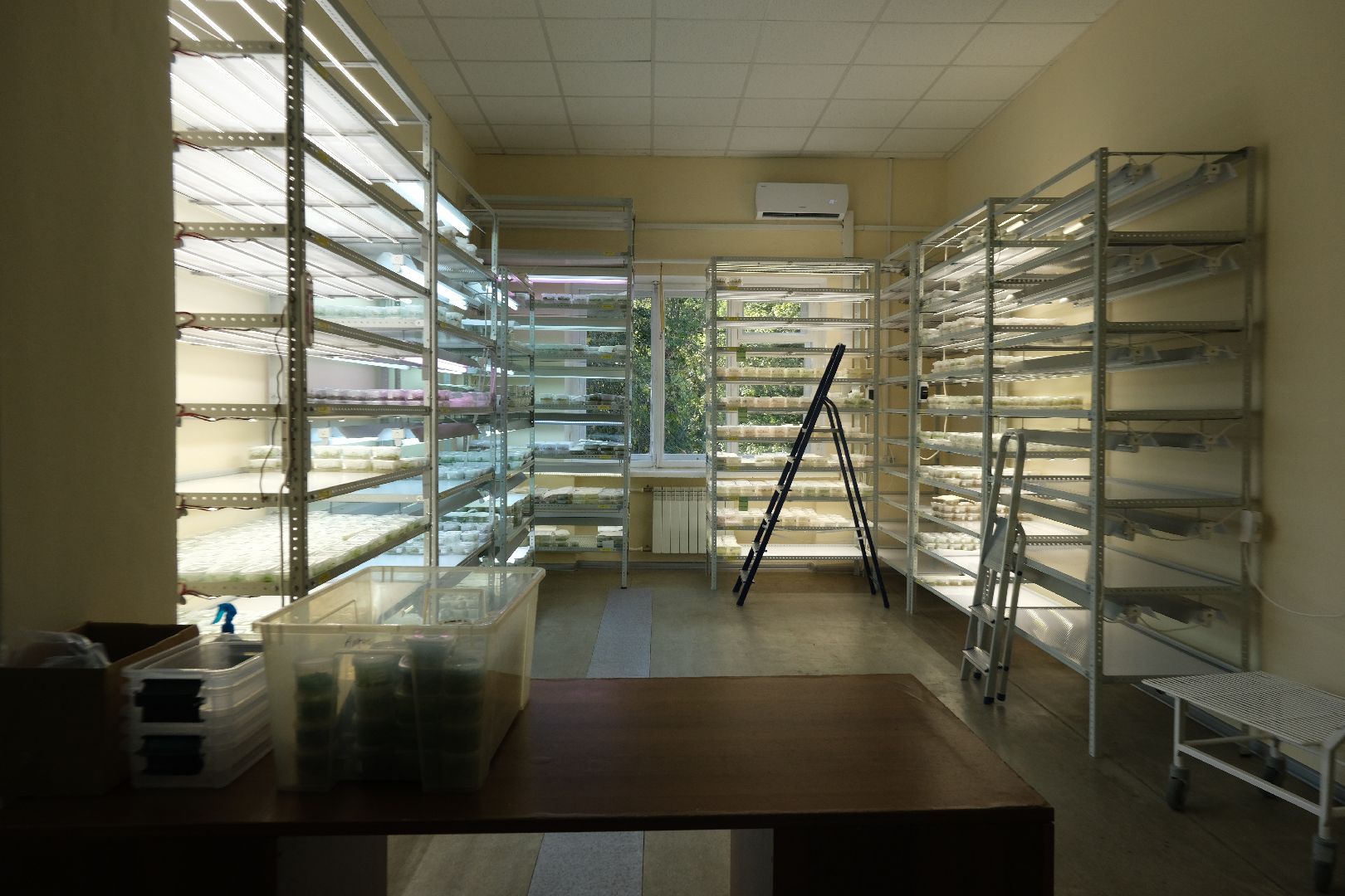 пущино, серпухов, сельское хозяйство, наука, производство, стартап,