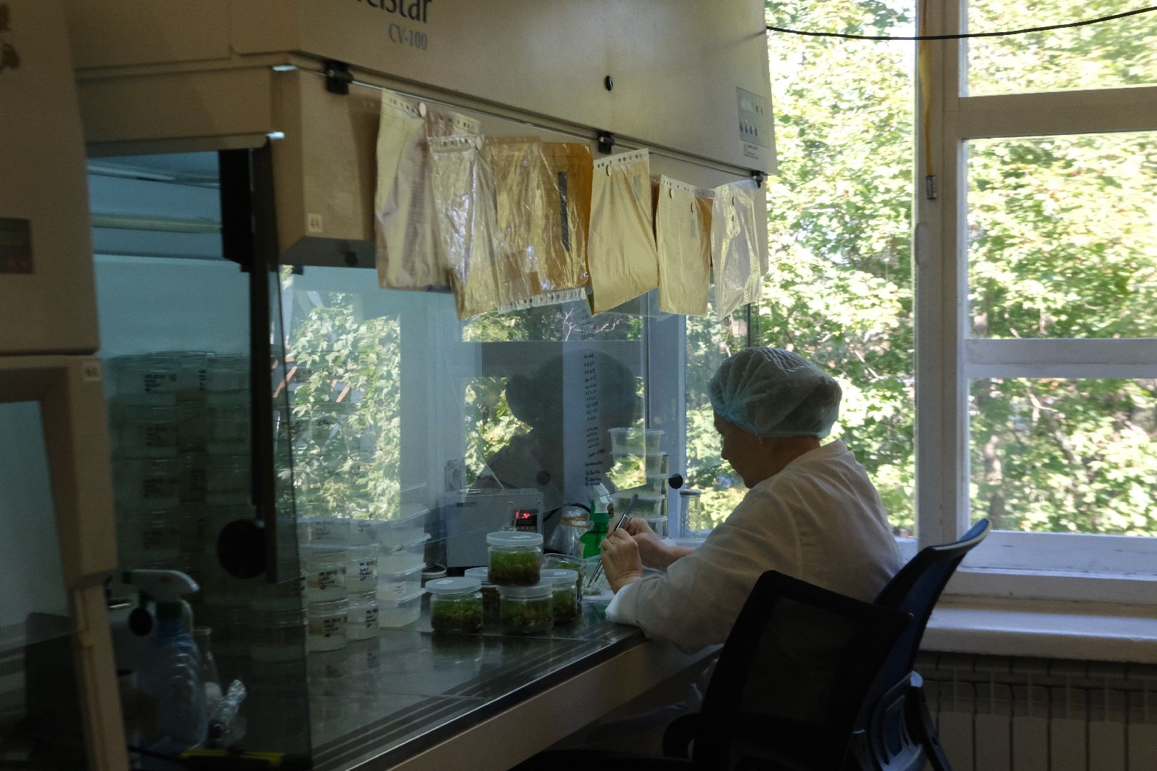 пущино, серпухов, сельское хозяйство, наука, производство, стартап,