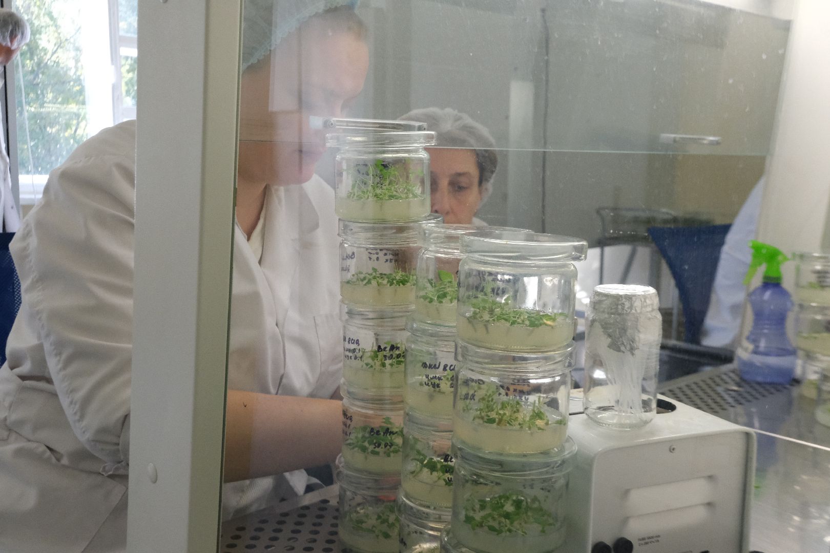 пущино, серпухов, сельское хозяйство, наука, производство, стартап,