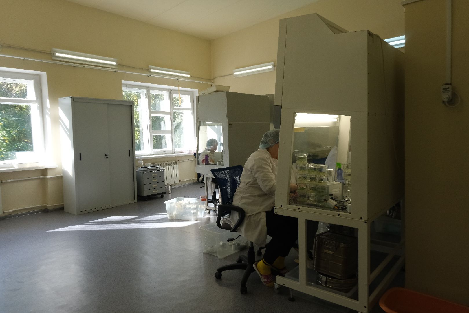 пущино, серпухов, сельское хозяйство, наука, производство, стартап,