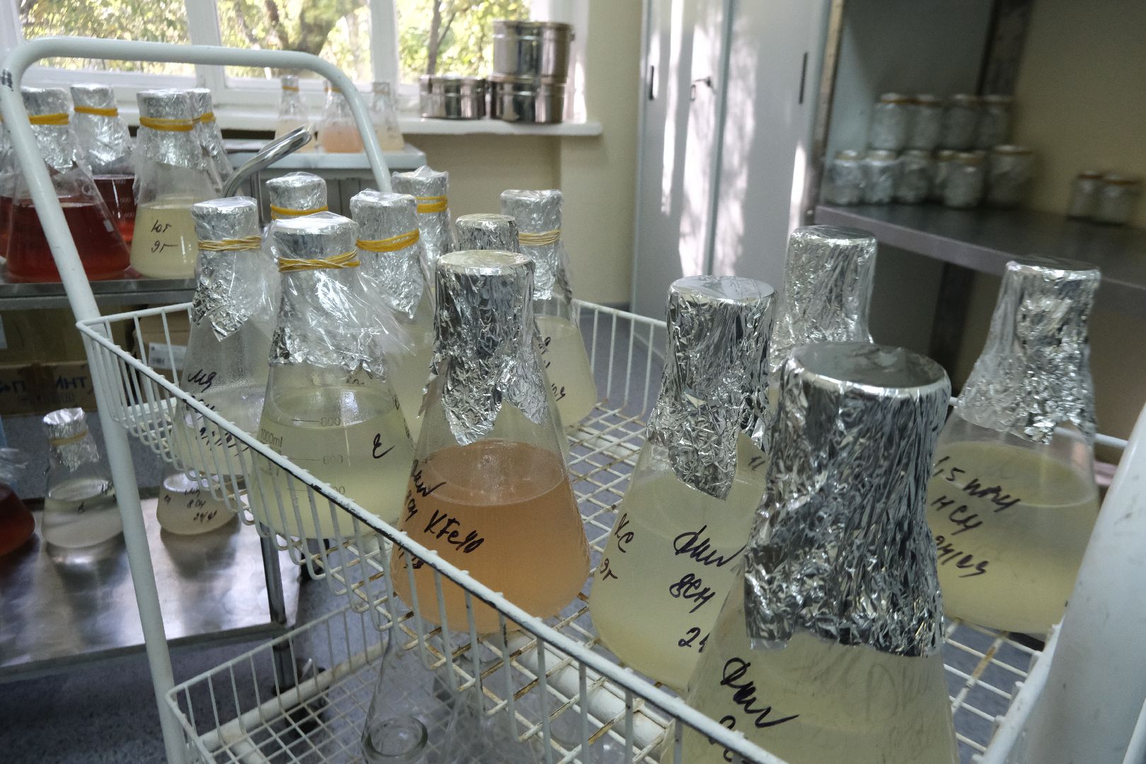 пущино, серпухов, сельское хозяйство, наука, производство, стартап,