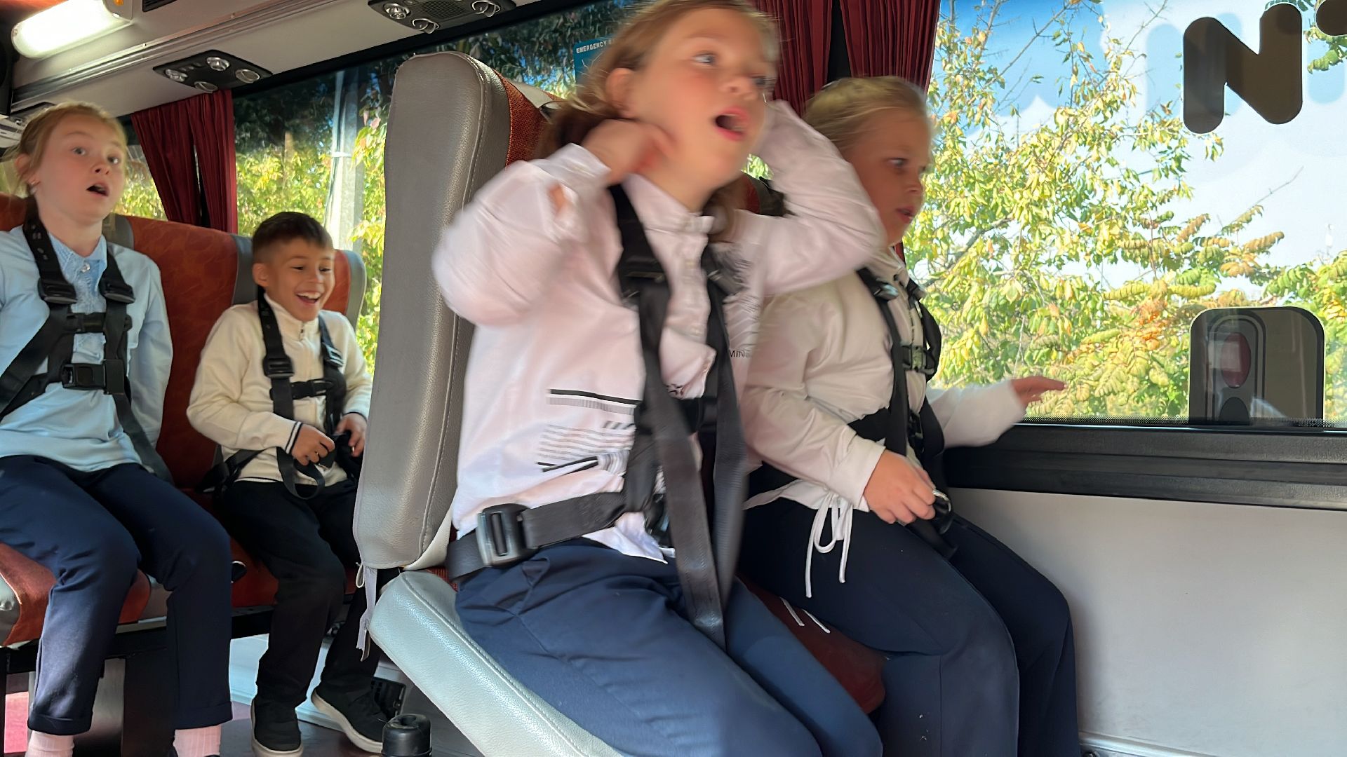 безопасное движение, безопасность, ремень безопасности, автобус,