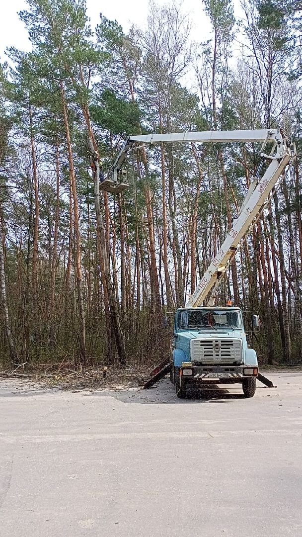 опил, весна, Протвино, рубеж обороны, аварийные деревья