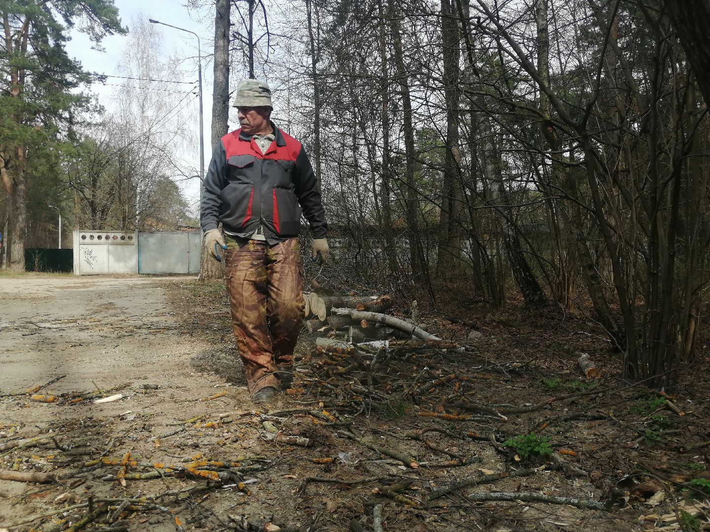 опил, весна, Протвино, рубеж обороны, аварийные деревья