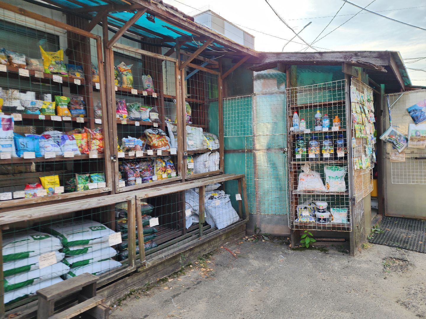 ногинск-9, жители, общество, богородский городской округ, незаконный рынок, малый бизнес, выездная администрация, оперативный выезд,