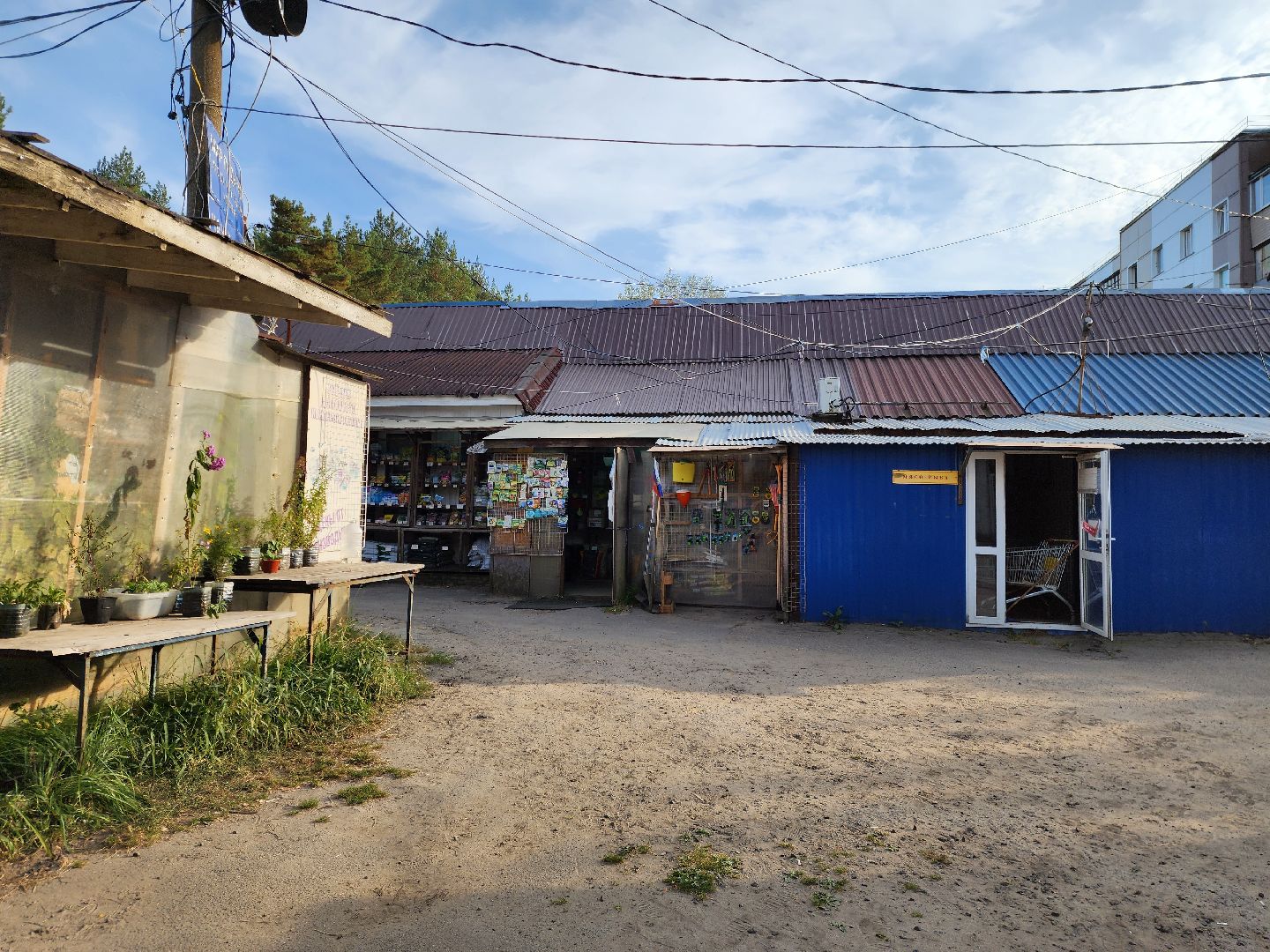 ногинск-9, жители, общество, богородский городской округ, незаконный рынок, малый бизнес, выездная администрация, оперативный выезд,