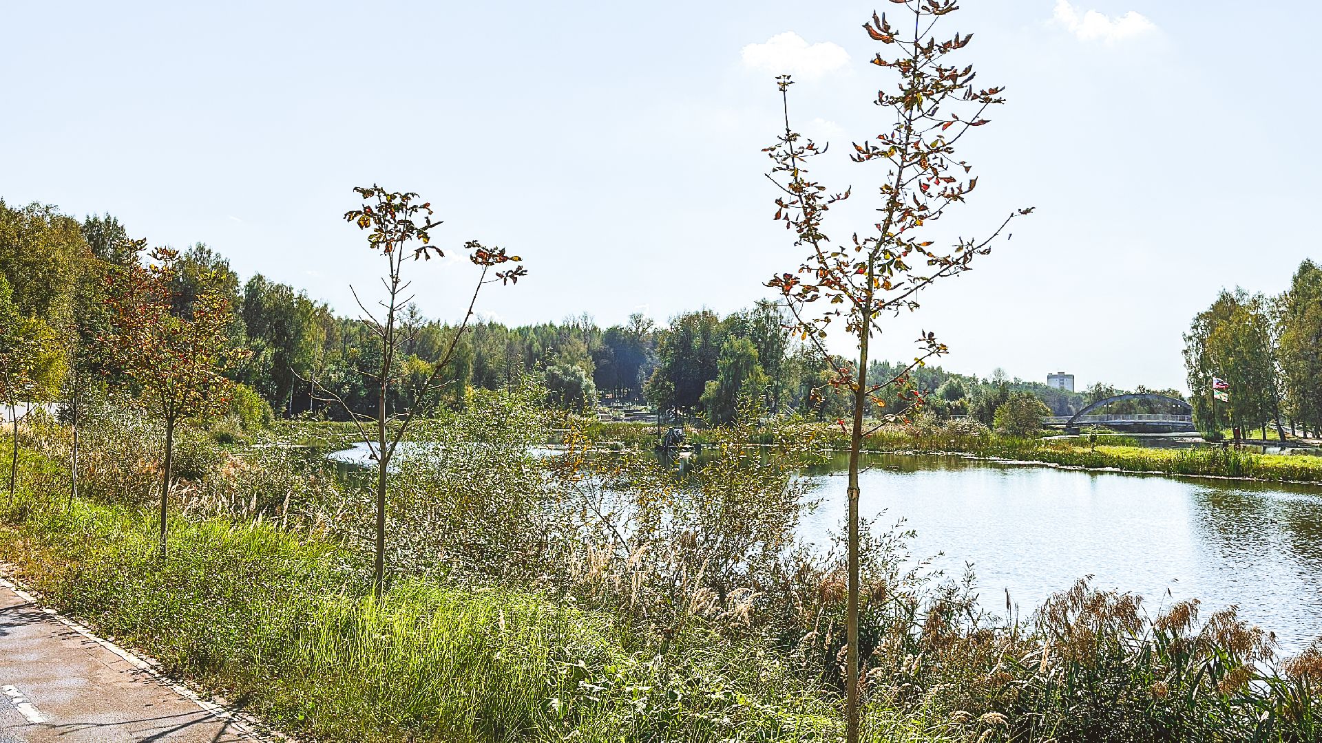 Клин, общество, экология, очистка реки,