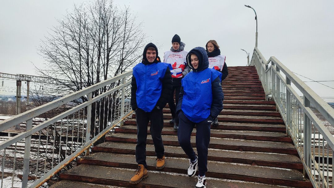 Кашира, общество