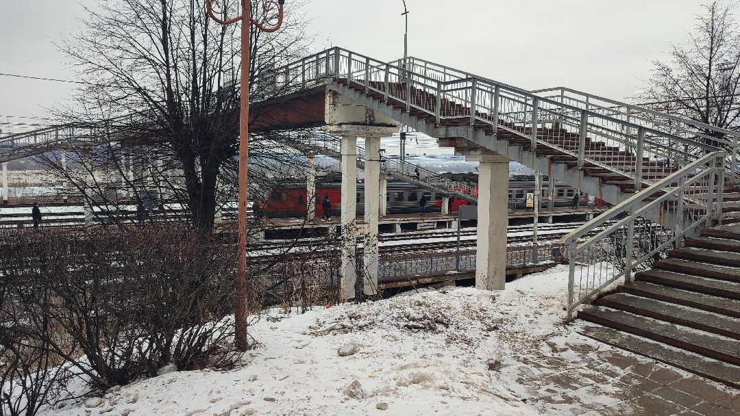 Кашира, общество