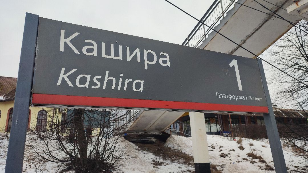 Кашира, общество