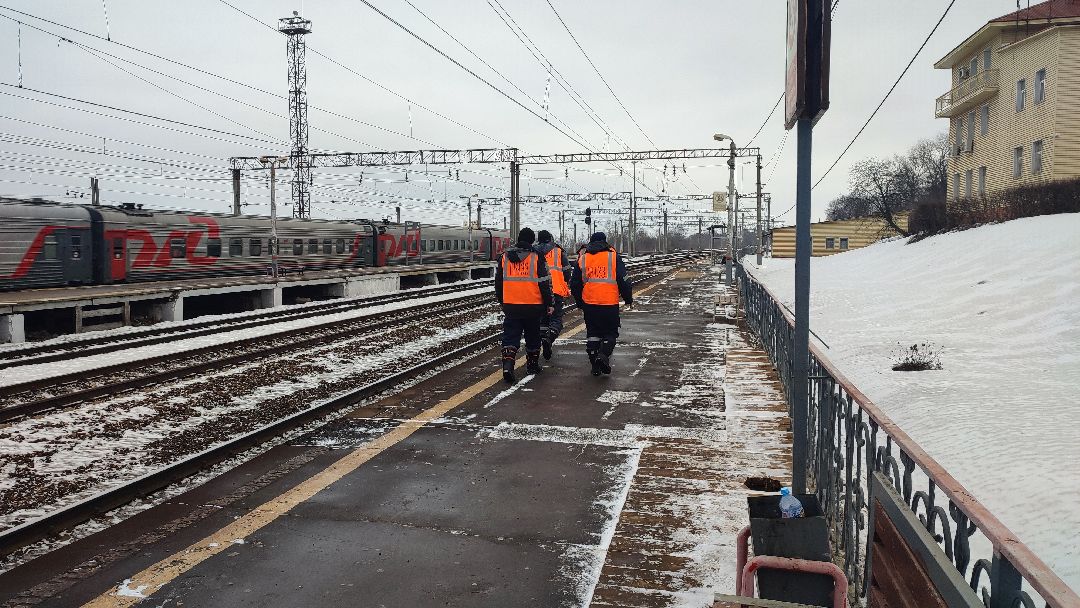 Кашира, общество