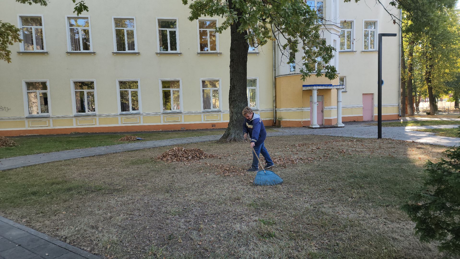 ступино, жкх подмосковья, уборка палой листвы,