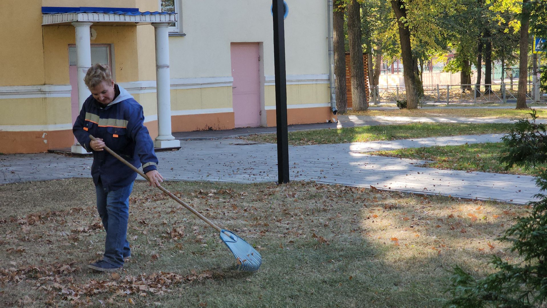 ступино, жкх подмосковья, уборка палой листвы,