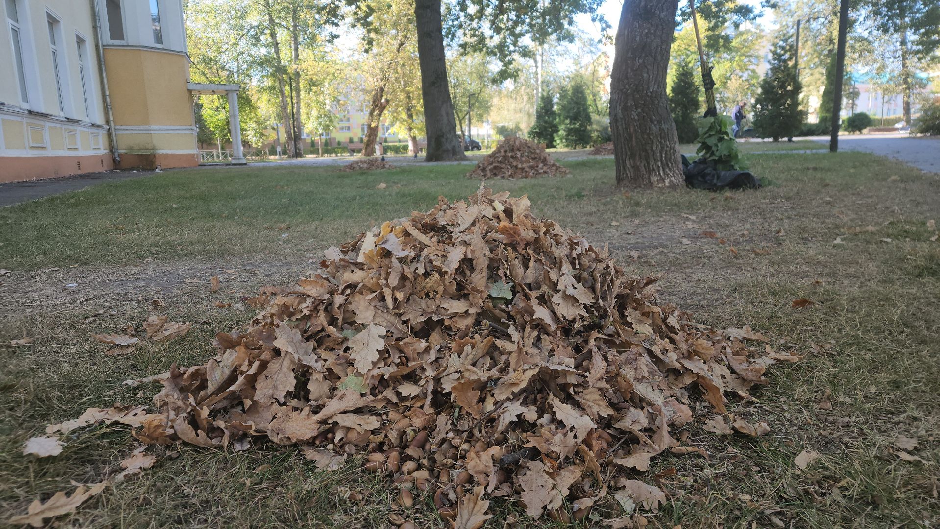 ступино, жкх подмосковья, уборка палой листвы,