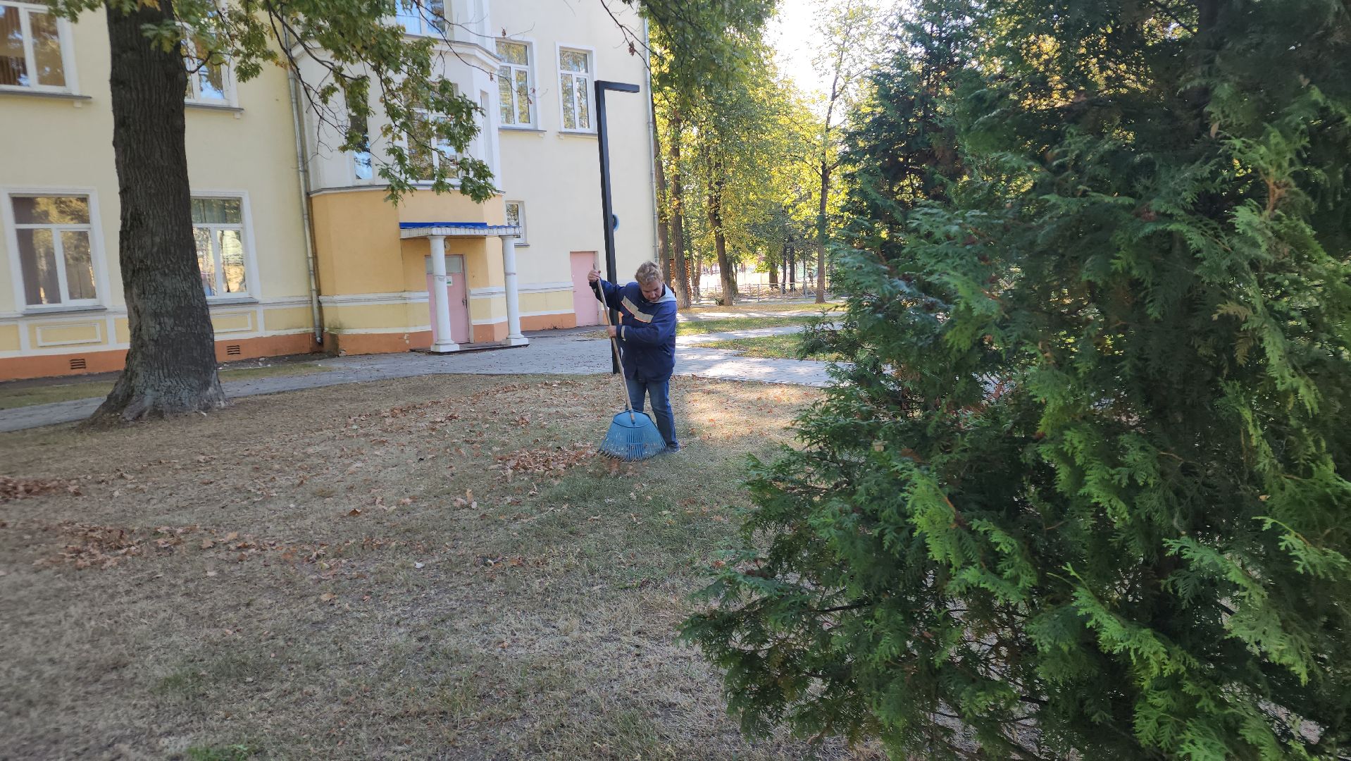 ступино, жкх подмосковья, уборка палой листвы,