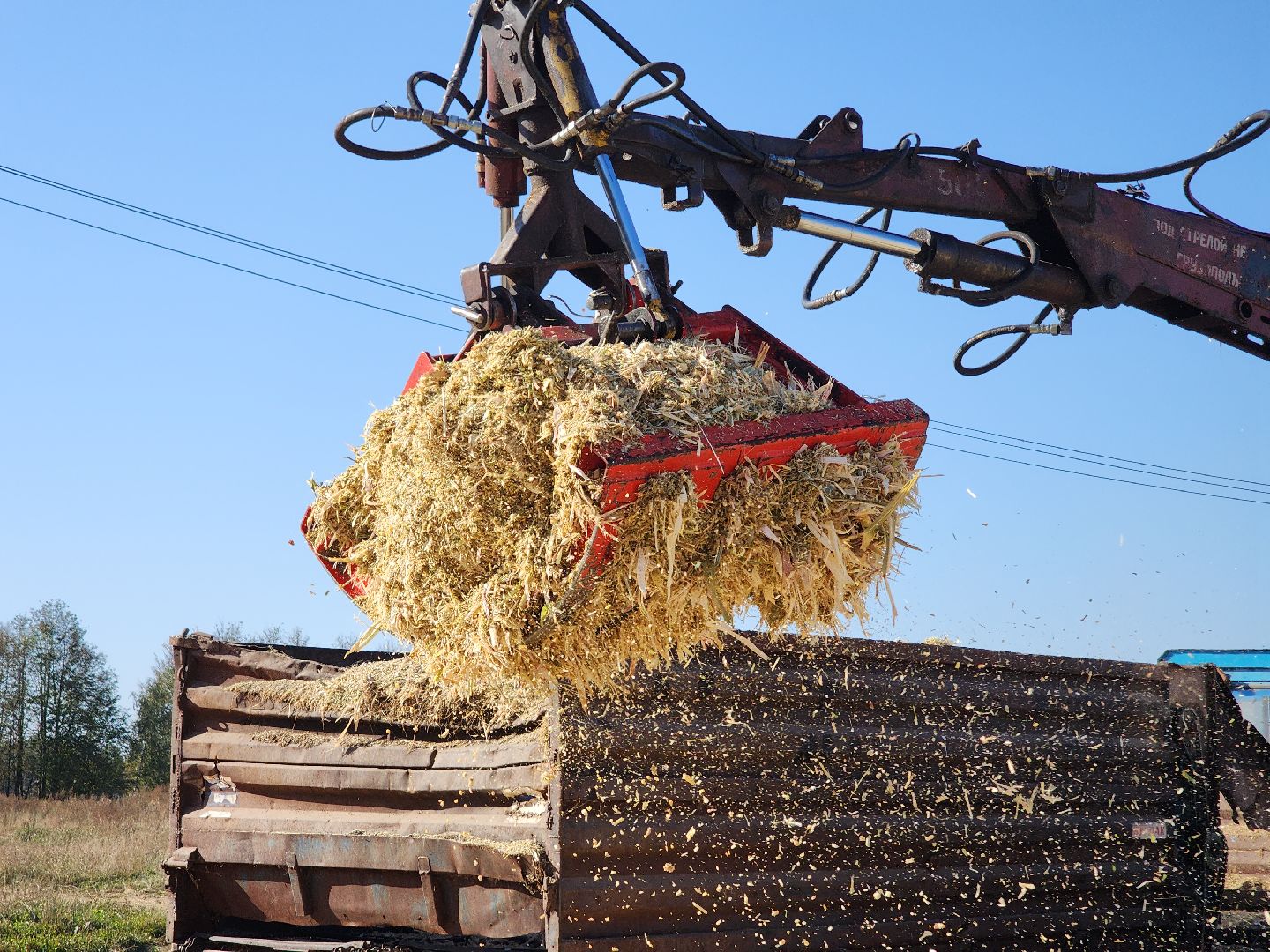 сельское хозяйство, руза, рузское молоко, сбор урожая, рузский городской округ, агрохолдинг рузское молоко, кукуруза,