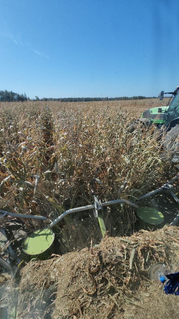 сельское хозяйство, руза, рузское молоко, сбор урожая, рузский городской округ, агрохолдинг рузское молоко, кукуруза,