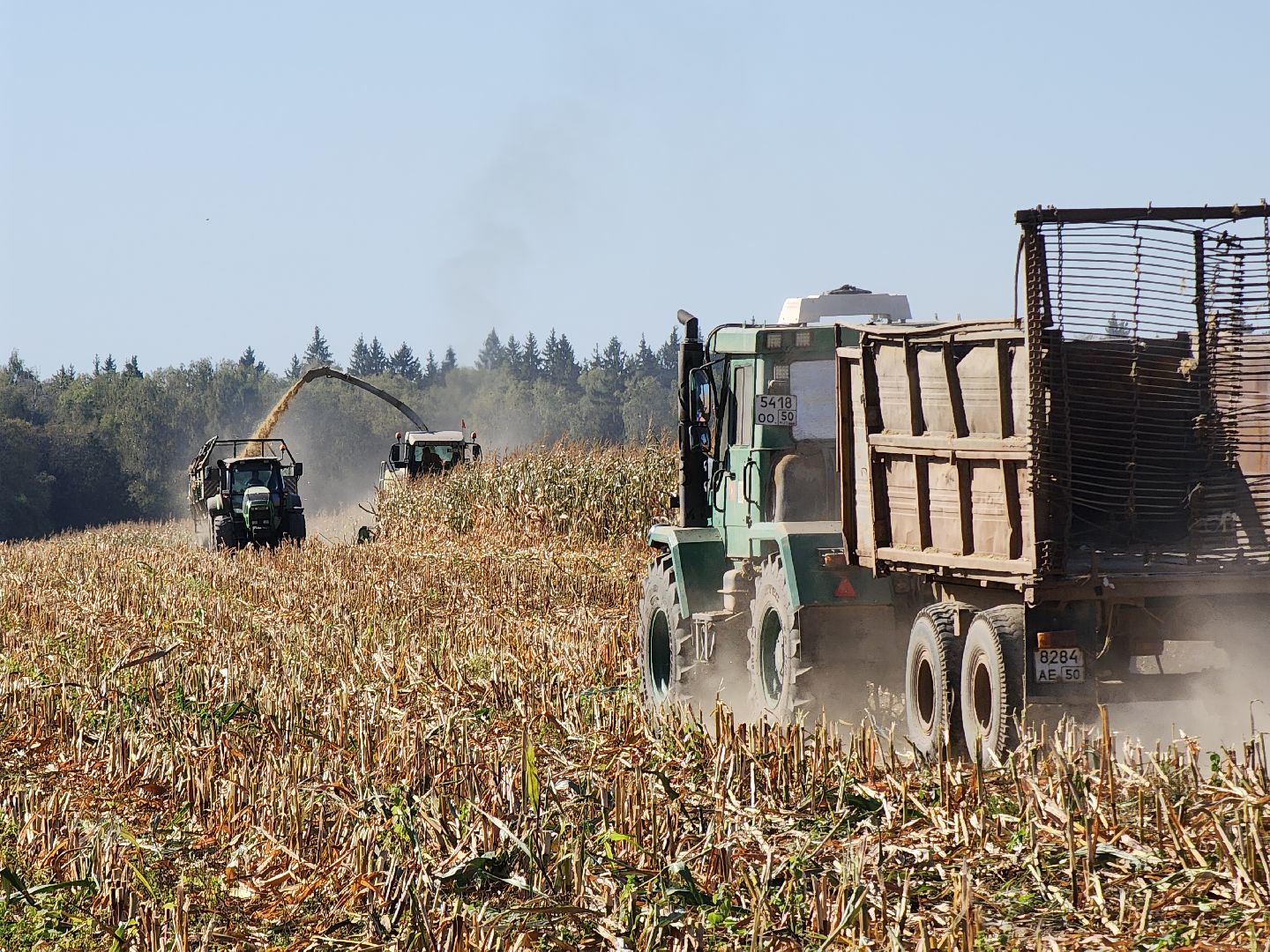 сельское хозяйство, руза, рузское молоко, сбор урожая, рузский городской округ, агрохолдинг рузское молоко, кукуруза,
